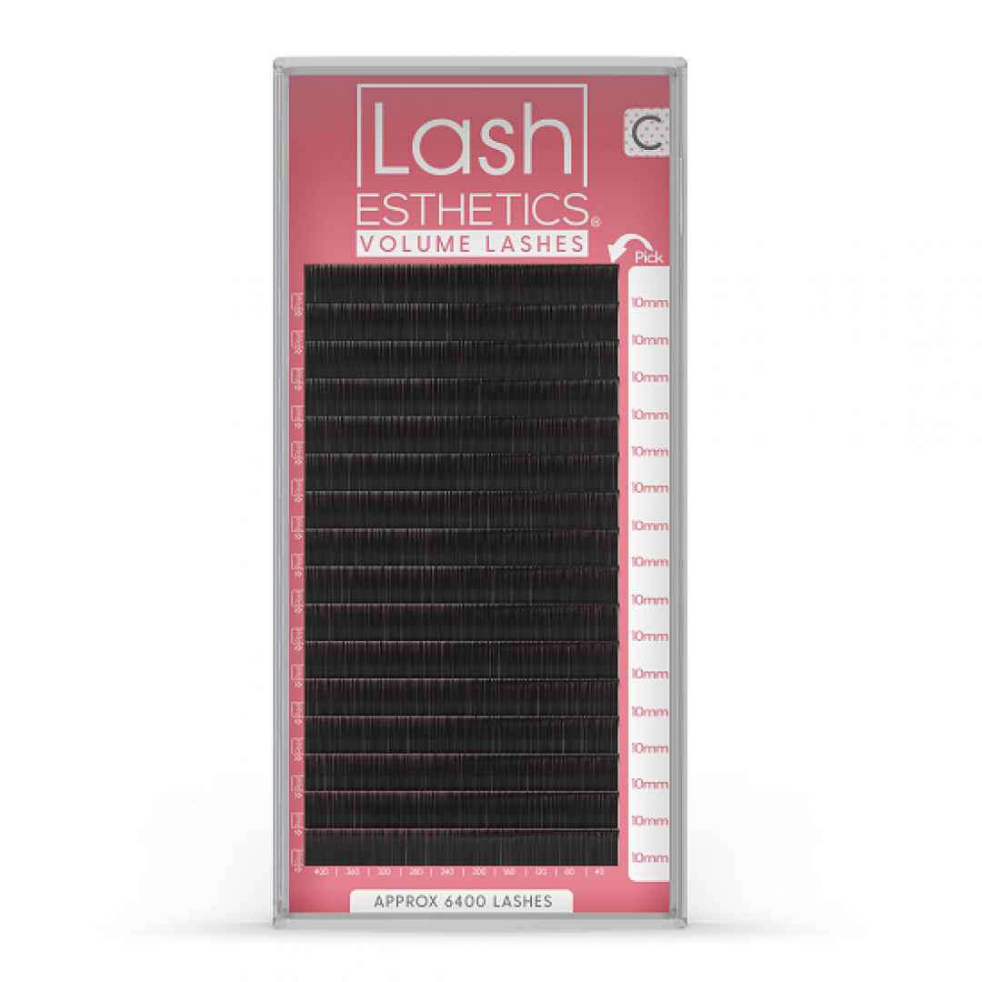 LASH ESTHETICS VOLUME LASHES CURL D